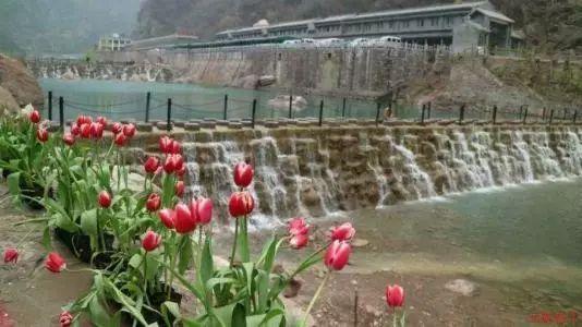 探索奇妙世界,发现更多乐趣——支付宝丢失怎么找回